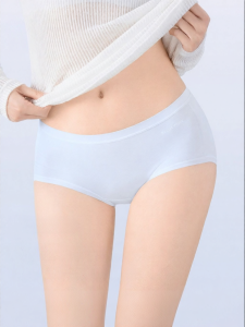 Secret World | Modal Extended Crotch No-riding Mid High Waist Breathable Summer Panties