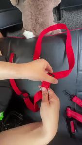 Double Twin Dual Coupler Dog Leash Two in One Strong Nylon V Shape Adjustable Pet Dog Leash Colorful Traction Rope Detachable