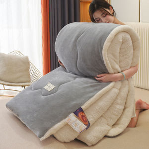 MOLORE | Double-Sided Warmth Lamb and Milk Velvet Bed Blanket Duvet Insert