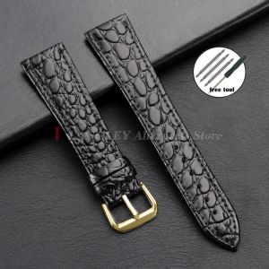 Brown Black Leather Watch Band Crocodile Skin Bracelets Men Women Watch Strap 10/12/13/14/16/18/19/20/21/22mm Gold Buckle Belts