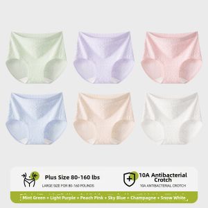 COSMO LADY | Anti-Bacterial Cotton High-Waist Briefs for Curvy Women