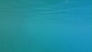 Thuyền điều khiển từ xa có hình dạng khủng long Plesiosaur chạy bằng điện có camera quay video có thể phun nước