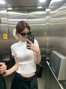 Ashonline Nicole Ice Silk Knitted Short Sleeve Top High Elasticity Summer Womens Fashionable Commute Style Pure Color T-shirt