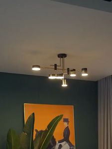 Nordic Chandelier Living Room Office Tricolor Dimmable Gold Black LED Luster Ceiling Lights