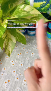 Bộ Màu Acrylic Mont Marte 20ml – Màu Vẽ Trên Nhiều Chất Liệu (giấy vải đá sứ gỗ nhựa...)