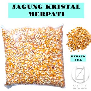 Jagung Kristal 1kg Pakan Burung Merpati Jagung Kristal Makanan Dara dan Hewan Peliharaan Kecil Lainya Jagung Kecil Bersih Kering dan Aman untuk Dikonsumsi