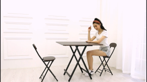 Foldable Table Household Dining Table Simple Modern Folding Computer Table Camping Picnic Table