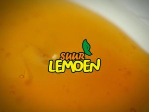 Madu Murni Multiflora Super 350gr 700gr by Suur Lemoen