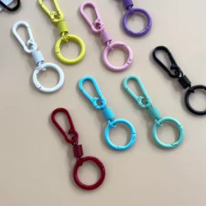 1pc Colorful Spring Keychain Cute Key Ring Holder Carabiner Buckle For DIY Jewelry Accessories Bag Pendant Gift