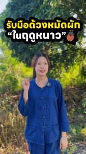 เจ-ซีต้า (J-Ceta) โปรโมชั่น 10 ซอง 590 บาท ตัวช่วยดูแลเรื่องเพลี้ย ขนาด 100 กรัม เพลี้ย แมลงหวี่