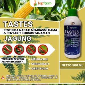 Obat Hama & Penyubur Jagung: Panduan Lengkap