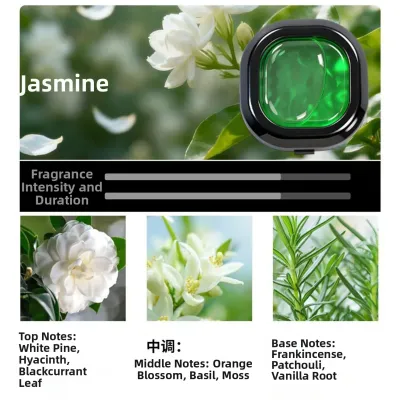 Natural Plant Car Air Freshener Long-Lasting Scent