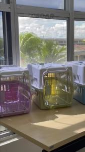 Mimiku Pet Carrier box out carrying bag cat consignment box pet supplies