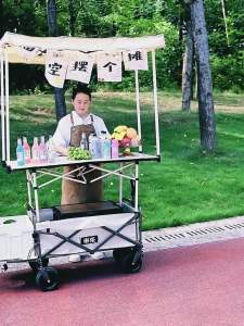 Camping Cart Trolley Wagon Trolley Folding Portable Camping Cart Trolley Camping Trolley Cart Rainproof Sunshade Lifting Camping Trolley Outdoor Foldable Picnic