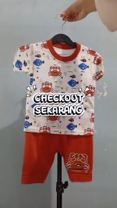 Setelan Baju bayi bayi laki laki motif MR.CRAB celana coklat usia anak 3-24 bln .