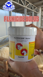FLUKICIDE 42 BOLUS - FLUKICIDE 12 BOLUS - SANBE ternak OBAT Sapi kambing domba kuda babi Ruminansia