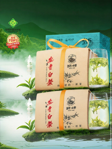 SHIFENG | New Spring Green Tea Pre-Qingming Handpicked Premium