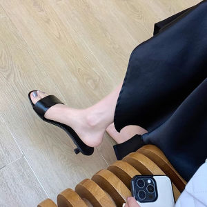 WANGGONGZHU | Elegant Silk Sandals Womens Summer Outdoor Wear Design Korean Style Flat Heel Pure Color Rubber Sole Princess Shoes