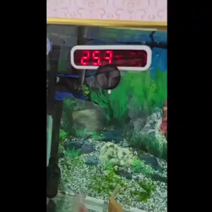 วัดอุณภูมิ เทอร์มิเตอร์ ดิจิตอล วัดอุณหภูมิจูง 1 ชุด มิเตอร์ เครื่องวัดอูมิตู้ 20-39 วัน ราคา 1990 ราคา ถูกต้อง