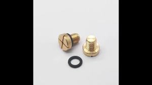 [h] Modified Car Accessories Radiator Expansion Water Tank Drain Screw Belt O Ring Suitable for BMW E36 E39 E46