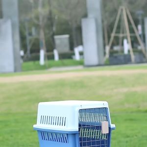 TRENY Big Capacity Cat Dog Transport Carrier Cage Portable Pet Kennel Airline Approved Travel Outdoor Cage Anjing Kucing Sangkar