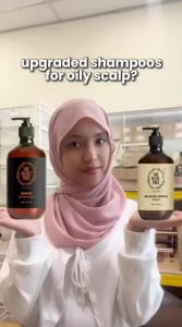 The Olive Tree Oil Balance Shampoo 500ml For Hair Fall & Oil Control