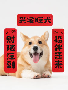 New Year Mini Pet Cat Dog House Moving Decoration Fun Creative Felt Couple Lanterns Festive Supplies Pet Supplies