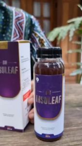 Bio Insuleaf Paket 3 Box - Herbal Alami Membantu Menurunkan Gula Darah Mengatasi Kencing Manis dan Diabetes