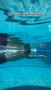 Kính bơi người lớn dododios 1940 kính bơi nam nữ mắt kính bơi thi đấu chuyên nghiệp có gắn 2 nút bịt tai ngăn nước mắt kiếng bơi trẻ em cho bé trên 8 tuổi chống tia UV hạn chế sương mờ