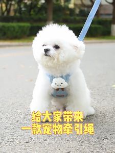 【Meoof】Cute Dog Cat Collar Leash Harness Dog Rope Dog Chain 狗狗可爱背心牵引绳
