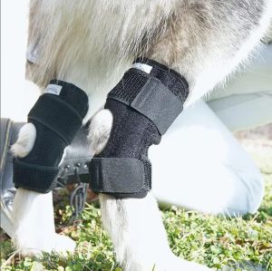 HATELI Dog Knee Pads Injury Recovery for Leg Hock Joint Wrap Breathable Injury Recover Pads Legs Dogs Protector Support Protects Bandage