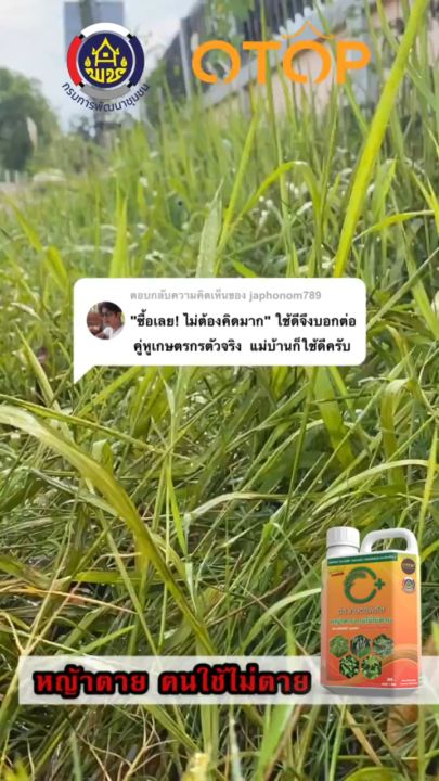 10 อันดับ ยาฆ่าหญ้า ปลอดภัยและมีประสิทธิภาพสูง ยี่ห้อไหนดี? อัปเดตปี 2026