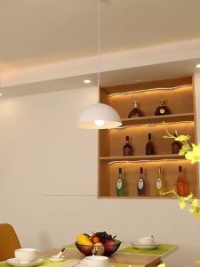 Single Head Chandelier Living Room Restaurant Bedroom Ceiling Light Black White Pendant Lamp