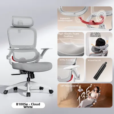 Musso | Ergonomic Computer Chair For Long Hours Sitting Office & Gaming