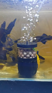 SG READY STOCK l Black Aquarium Filter for Aquarium Fish Tank Air Pump Skimmer Biochemical Sponge Filter