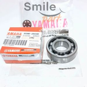Mengenal Bearing Gardan Motor Beat Vario 6204 & As Pully N Max Aerox