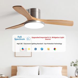 KAIYE | Ceiling Fan Light Combination Variable Frequency