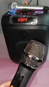 Brodu BTS-2501 ( 6.5inch speaker ) Professional Karaoke Wireless Bluetooth Speaker