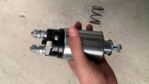 Chuột đề lai 24v