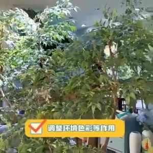 55 L size PINE BARK/ Pine scale Orchid potting Pine Bark MURCH GARDENING PLANTING PINE BARK(L size/ 20-50mm)