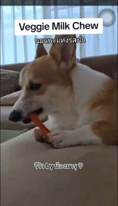 Veggie Milk Chew นมแพะแท่งรสผักน้องหมานมแพะสุนัขขนมน้องหมา