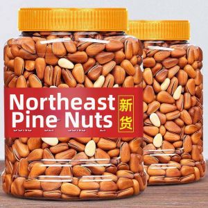 Premium Large Red Pine Nuts 2025 New Batch