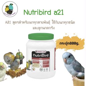 NutriBird A21 800g เป็นอาหารลูกป้อนสำหรับ ลูกนกทุกสายพันธุ์. อาหารสูตรนี้เน้นการย่อยและ ดูดซึมอาหาร ช่วยสร้างจุลินทรีย์ในช่องท้อง เสริมสร้างภูมิคุ้มกัน และอุดมไปด้วย DHA เพื่อการ เจริญเติบโตที่มีคุณภาพของลูกนก. 8