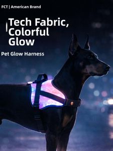 FCT | Luminous Dog Chest Harness