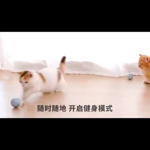 ลูกบอลแมว มีไฟ LED กลิ้งเอง 🥎 หมุนได้ 360 องศา ชาร์จได้ ลูกบอลแมวอัตโนมัติ ของเล่นแมว บอลแมว