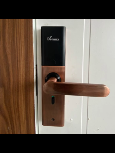 Khóa cửa vân tay thông minh Demax EL266 AC app wifi tính năng mở thông phòng chính hãng Đức
