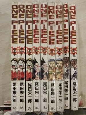One Piece 海贼王 manga book 漫画 comic book