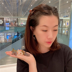 กิ๊บติดผมด้านข้างมินิสำหรับสาวๆ ins กิ๊บติดผมน่ารักฮิตในเน็ตสไตล์เกาหลีกิ๊บหนีบผมแบบเรียบง่าย