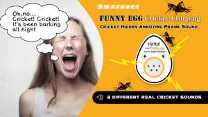 Smatagee Funny Egg:Cricket Hidden Annoying Chirping Joke Gag Prank SoundHidden Pranks Noise Maker for AdultsApril Fools Day Practical JokeGag Gifts Prank Kit Items in Home Office