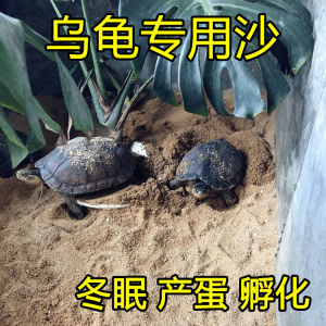 Natural Turtle Sand for Winter Sleeping And Egg Laying Land Turtles Pet Care Nutritious Sand for Hatching Clean No-Wash Fine Sand